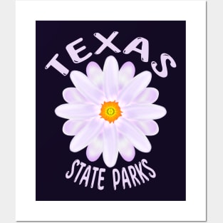 Texas State Parks Posters and Art